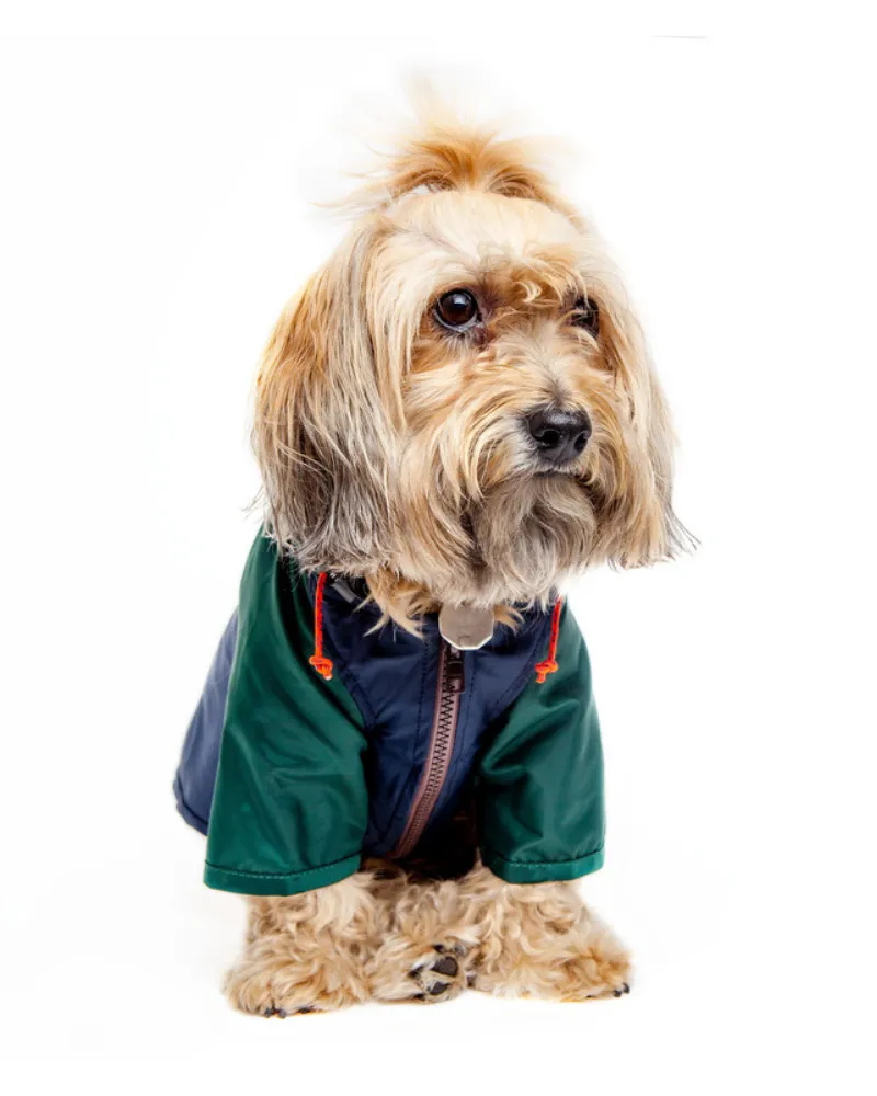 Nylon Colorblock Dog Rainbreaker in Hunter Green & Navy (Exclusive to DOG & CO.)