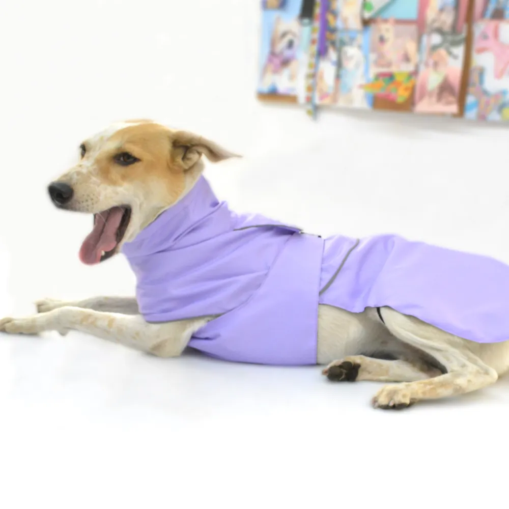 Pets Way TPU Thunder Raincoat for Dogs (Lavender)