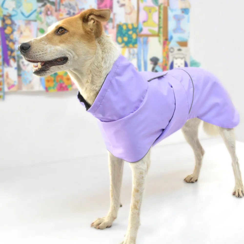 Pets Way TPU Thunder Raincoat for Dogs (Lavender)