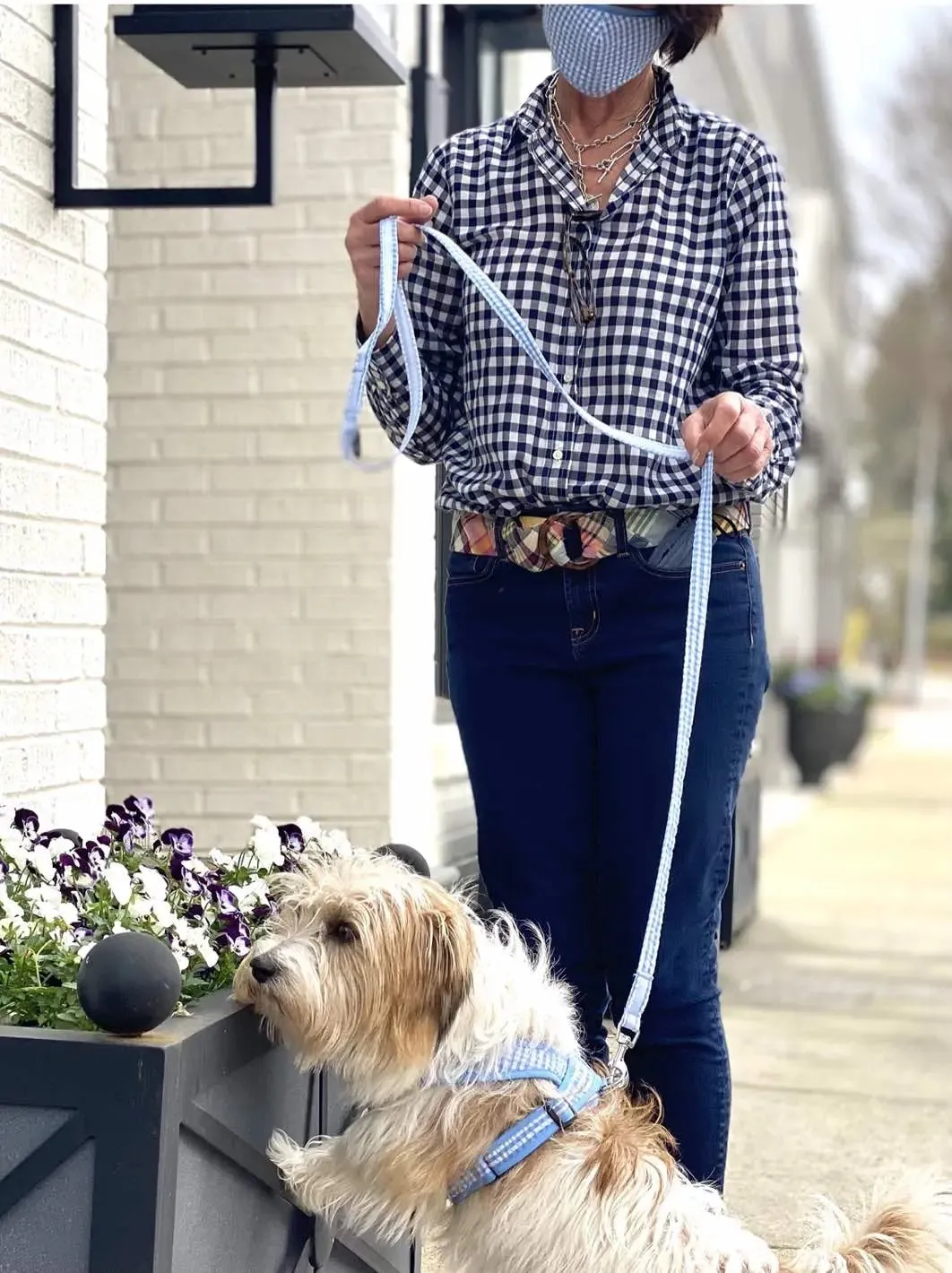 Precision Fit™ Gingham Dog Harness 3 LBS to 40 LBS