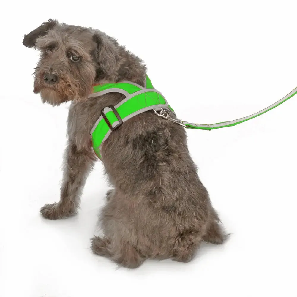 Precision Fit™ Step In Dog Harness Adjustable Nylon - 3 LBS to 40 LBS